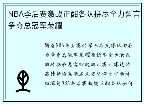 NBA季后赛激战正酣各队拼尽全力誓言争夺总冠军荣耀