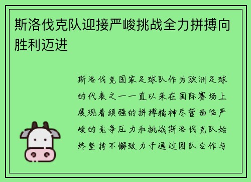 斯洛伐克队迎接严峻挑战全力拼搏向胜利迈进